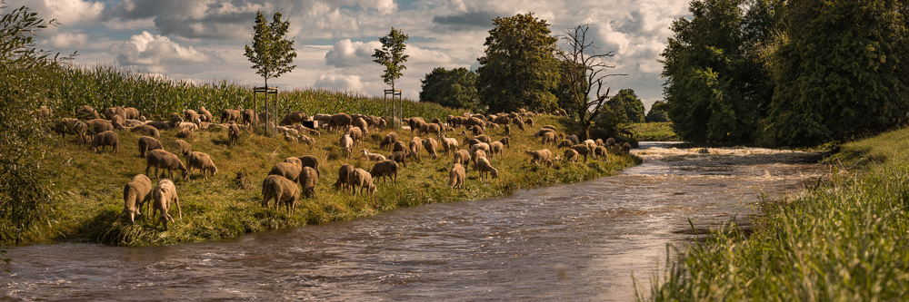 Platz 7 Anton Kienle